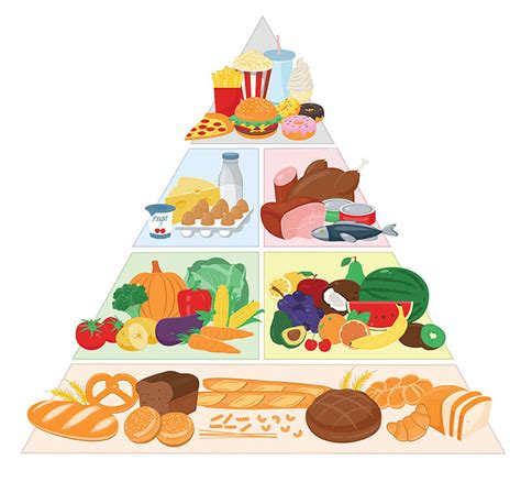 The Food Pyramid Is It Still Relevant
