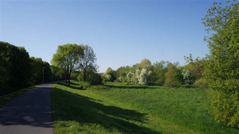 В очередном противостоянии чемпионата германии сойдутся лицом к лицу футболисты леверкузенского «байера» и «кёльна». Leverkusen: Kripo Köln fahndet wegen versuchter Vergewaltigung