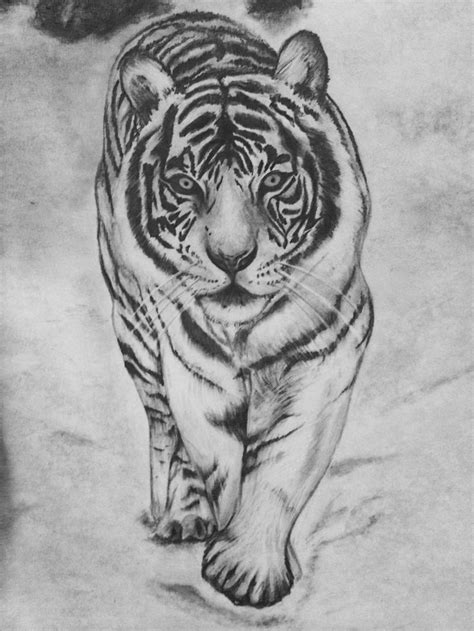 White Tiger Pencil Drawing Done By Danielle Weingart White Tiger