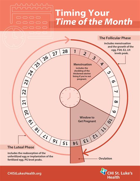 Menstrual Cycle Calendar Method Joann Lyndsey