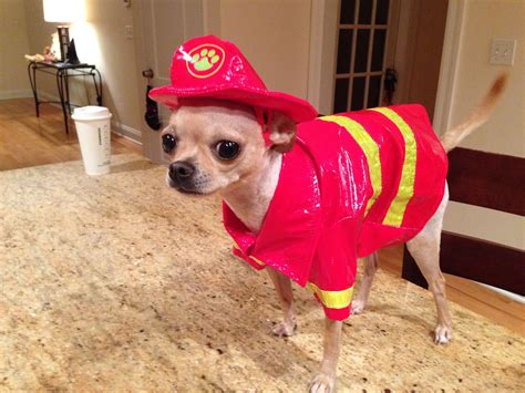 Dog Halloween Costumes Chihuahua Pets Lovers