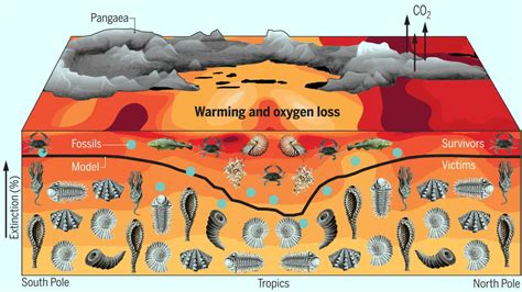 End Permian Marine Mass Extinction Caused By Increased Temperatures