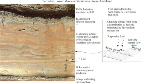 Sedimentary Structures Turbidites Geological Digressions