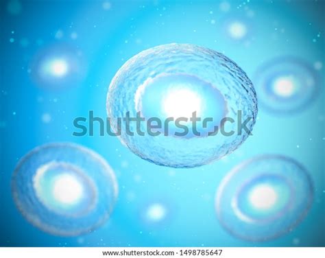 Human Cell Embryonic Stem Cell Microscope Stock Illustration 1498785647