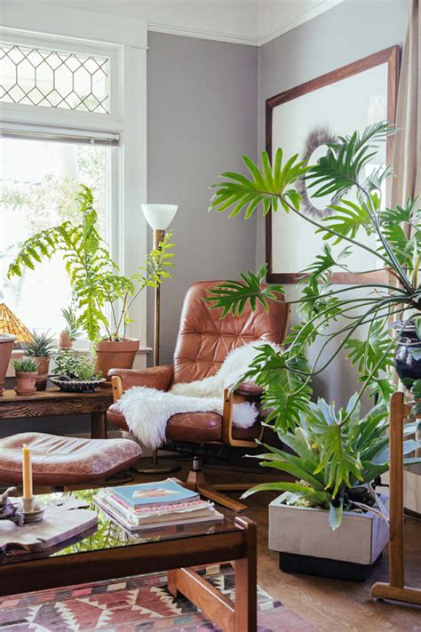 The best ways combine the aesthetic beauty of the greenery and/or flowers with the functionality of the plant. Decorating with Plants - Modernize