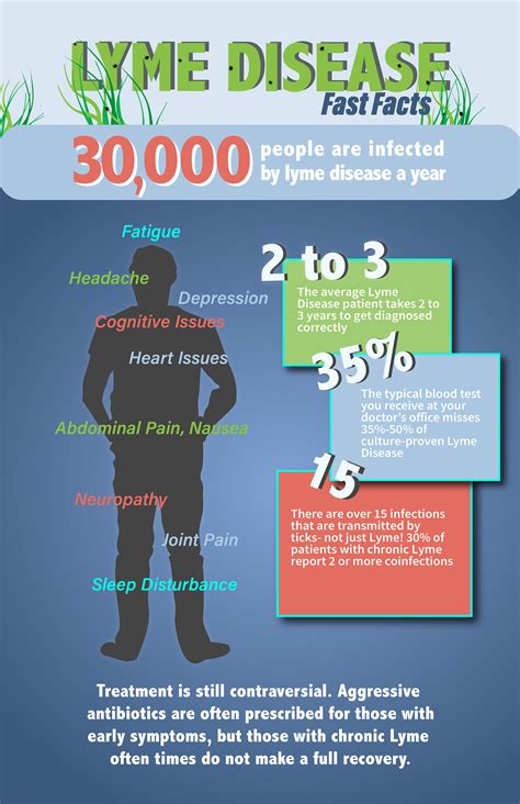 Lyme Disease Infographic On Behance