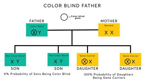 Color Blindness Pedigree