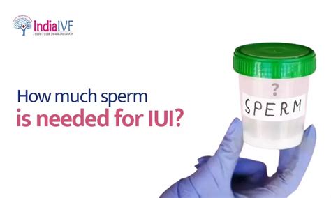 How Many Sperm Are Needed For Iui Intrauterine Insemination