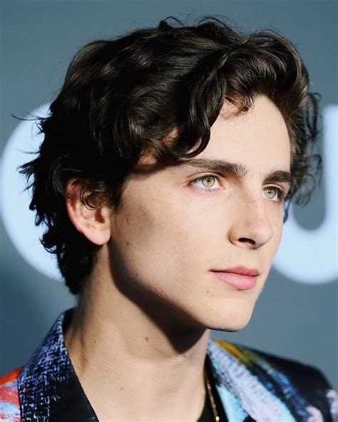 Тимоти́ хэл ша́ламе — американский актёр. Lovely Boys: Timothée Chalamet