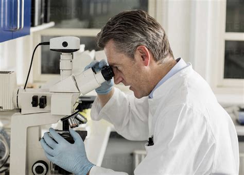 Scientist Using Microscope Cuf42106 Thomas Buskwestend61
