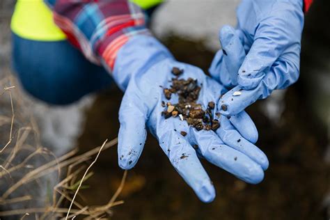 How Thousands Of Tonnes Of Microplastics Are Being Spread To Soils