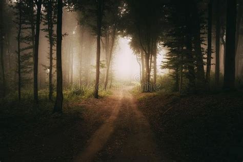 Road To The Light In Dark Mysterious Forest With Fog Path Through The