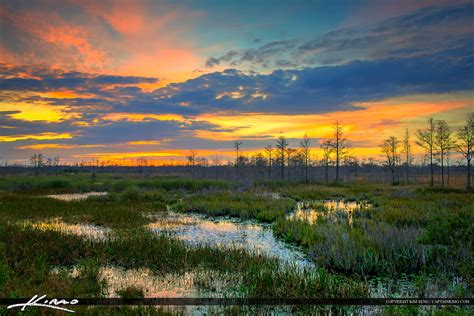 Florida Sunset Over Wetlands At The Loxahatchee Slough Hdr