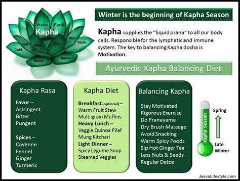 Getting To Know Your Kapha