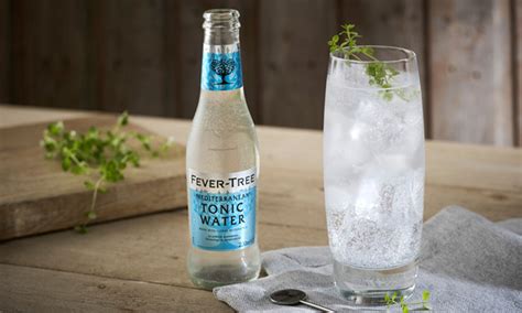 Tonic Water Drinks Guide Toast
