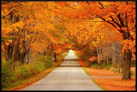 Autumn Colors Photo From Travel Wisconsin Fall Color Report