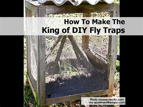 Use a clear string that is also strong, and tape it to the card. How To Make The King of DIY Fly Traps