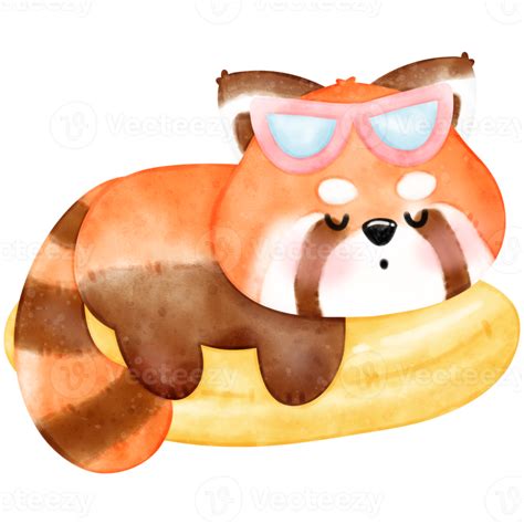 Free Cute Red Panda In Summer Illustration Watercolor Red Panda