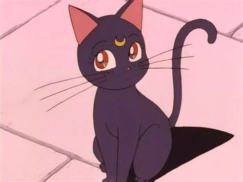 Sailor Moon Cat Aesthetic Free Hd Wallpaper