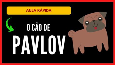 O CÃo De Pavlov Resumo Sobre O Cachorro De Pavlov Behaviorismo