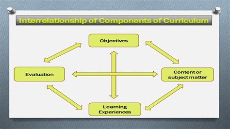 Elements Of Curriculum Design Curriculum Design Definition Purpose
