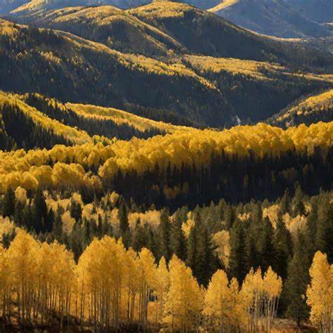 Синдром Жильбера у взрослых: лечение, симптомы и диагностика Картинка - Синдром Жильбера у взрослых: лечение, симптомы и диагностика