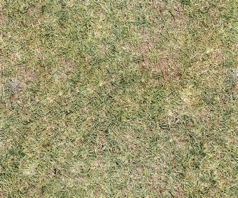 Artstation Pack Of 30 Grass Seamless Textures In 4k Resources