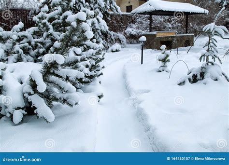 Snowy Backyard Patiowinter Landscape With Barbeque Area Snowbanks Of