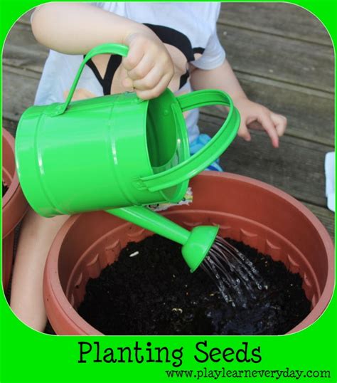 Planting Seeds Play And Learn Every Day