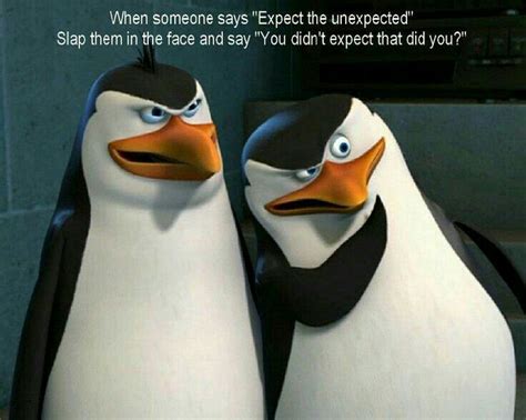 Wattpad Humor Penguins Of Madagascar •memes •wallpapers •stuff Penguin Quotes Penguin Meme