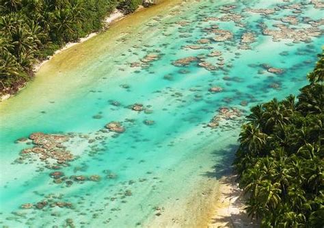 The brando is a unique luxury resort on french polynesia's breathtakingly beautiful atoll of tetiaroa. All Inclusive Resorts in Tahiti