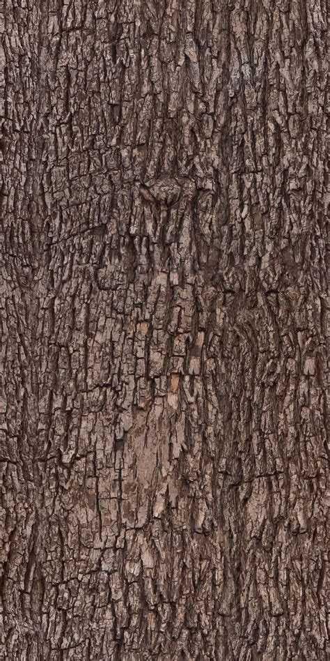 Tree Bark Texture For Branches Web Design