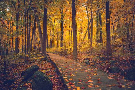 Where Can You See Beautiful Fall Foliage While Hiking On