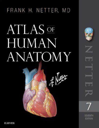 Download Netters Atlas Of Human Anatomy 7th Edition Pdf Free Medical