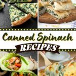 Best Canned Spinach Recipes To Make Today Insanely Good
