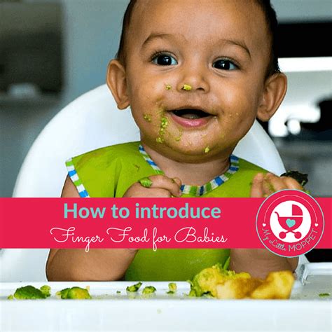 At eight months of age, babies can gulp down soft mashed food and can even start chewing more solid foods.your baby may have got a few teeth by now and her jaws are strong enough to tackle small chunks of your baby will gain weight gradually. 8 Months Baby Food Chart with a Guide to Finger Foods - My ...