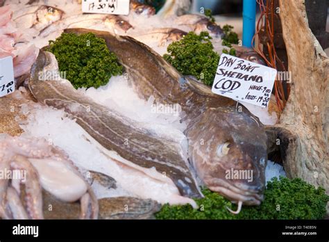 Fresh Cod Fish For Sale At Borough Market London England United
