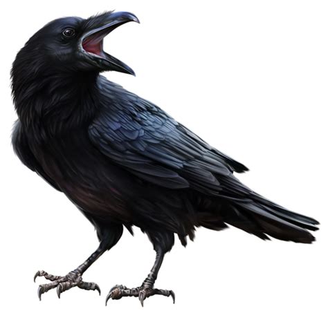 Bird ♞ Crow Painting Raven Art Crow Art