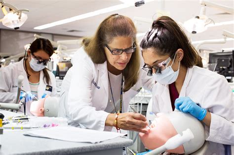 New York University College Of Dentistry Requirements