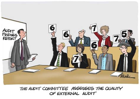 Internal Audit Cartoon