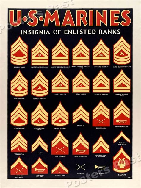 Military rank insignia chart editorial stock photo image. 1940s Insignia of Enlisted Ranks WWII Marine Corps War ...