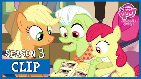 Tap family to open the album and then tap the plus sign. The Apple Family Album (Apple Family Reunion) | MLP: FiM ...