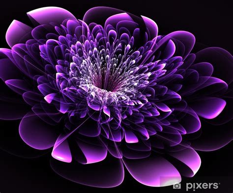 Poster Beautiful Purple Flower On Black Background Computer Generated