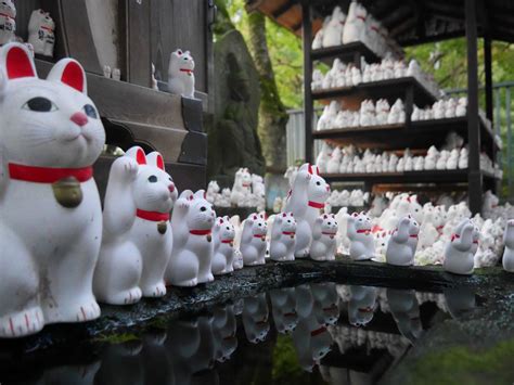 Gotokuji Maneki Neko Temple By Phantom Photo On Youpic