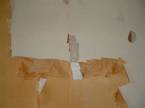 50 Removing Wallpaper From Drywall On Wallpapersafari