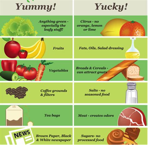 The alberta urban garden channel hopes to promote organic gardening that is simple home grown food has consistently been shown to be a healthier option than store bought produce so why not put any space you have to good use! Start Your Own Worm Bin - Wiggle Room - Vermicomposting ...