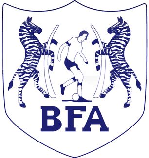 Botswana Football Association | National football teams, National football, Football team
