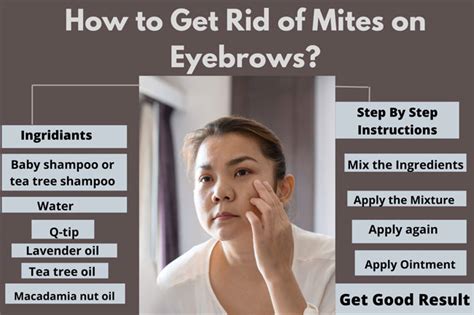How To Get Rid Of Mites On Eyebrows Smart Health Kick