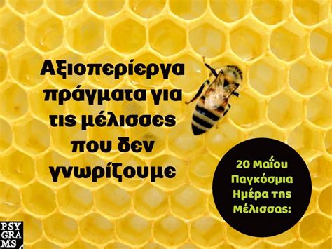 Εσείς γνωρίζατε όλα αυτά για τις μέλισσες Psygrams Ideas In Words