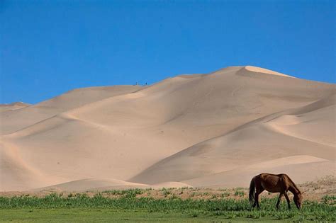 Things You Can Experience Only In The Gobi Desert Traveler Dreams